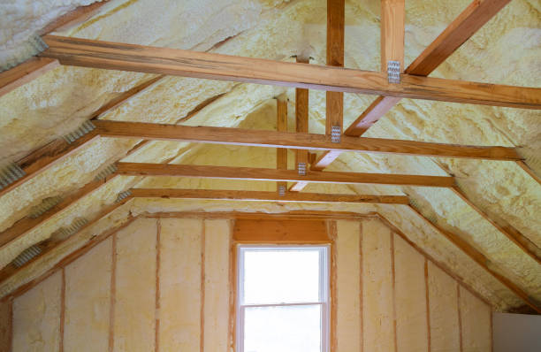 Best Eco-Friendly Insulation in Bayou Country Clu, LA