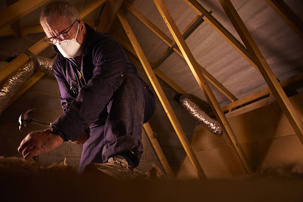 Best Residential Insulation in Bayou Country Clu, LA