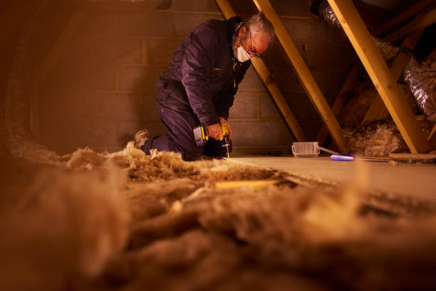 Best Geographic-Specific Insulation Services in Bayou Country Clu, LA